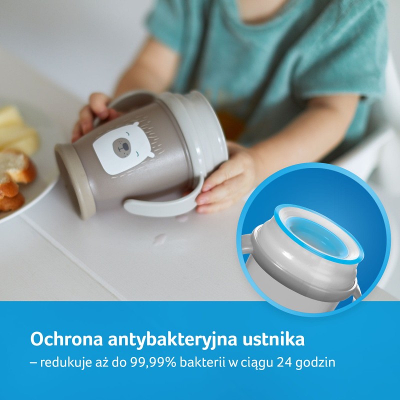 1_585_cechykubka_5.jpg