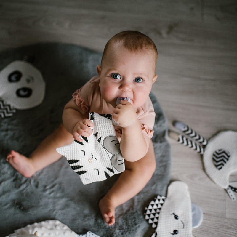 ptaszek-babyono-pluszak-przytulanka--akcesoria.jpg