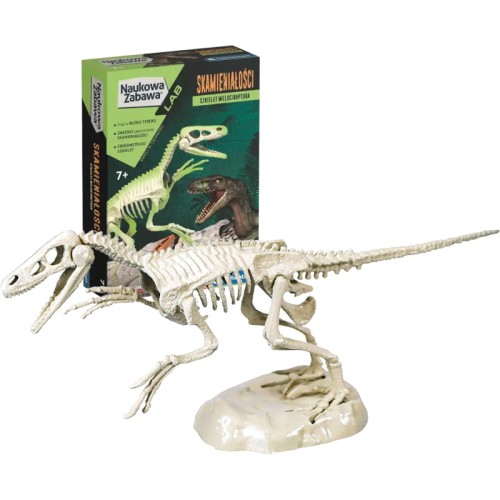 CLEMENTONI JUCĂRIA ȘTIINȚIFICĂ FOSILE VELOCIRAPTOR DINOZAUR - 50639