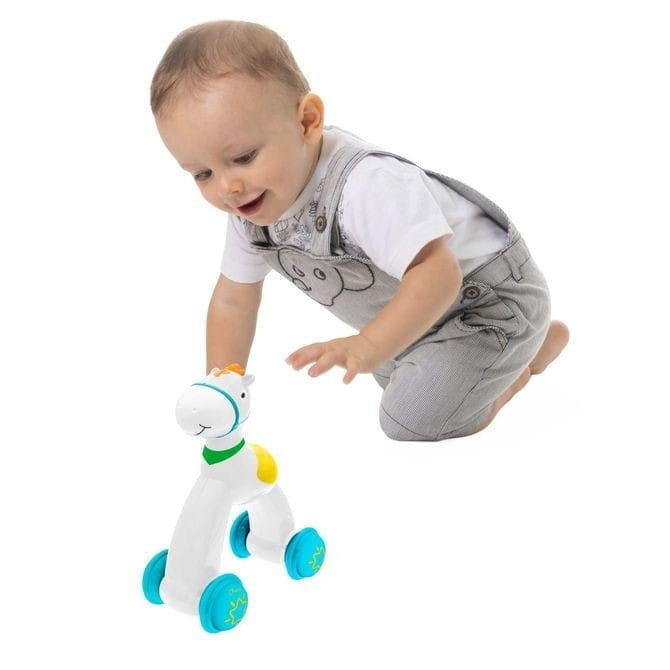 178223-KONIK-PUSH-GO-ZESTAW.jpg