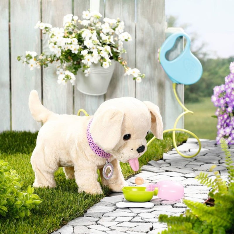 zapf-creation-lucky-baby-born-moj-pies-z-pudelkiem-a457962.jpg