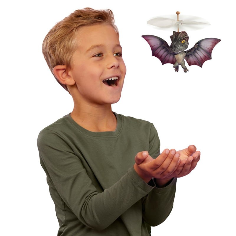 grossmos-flying-pet-zestaw-czaszka-box.jpg