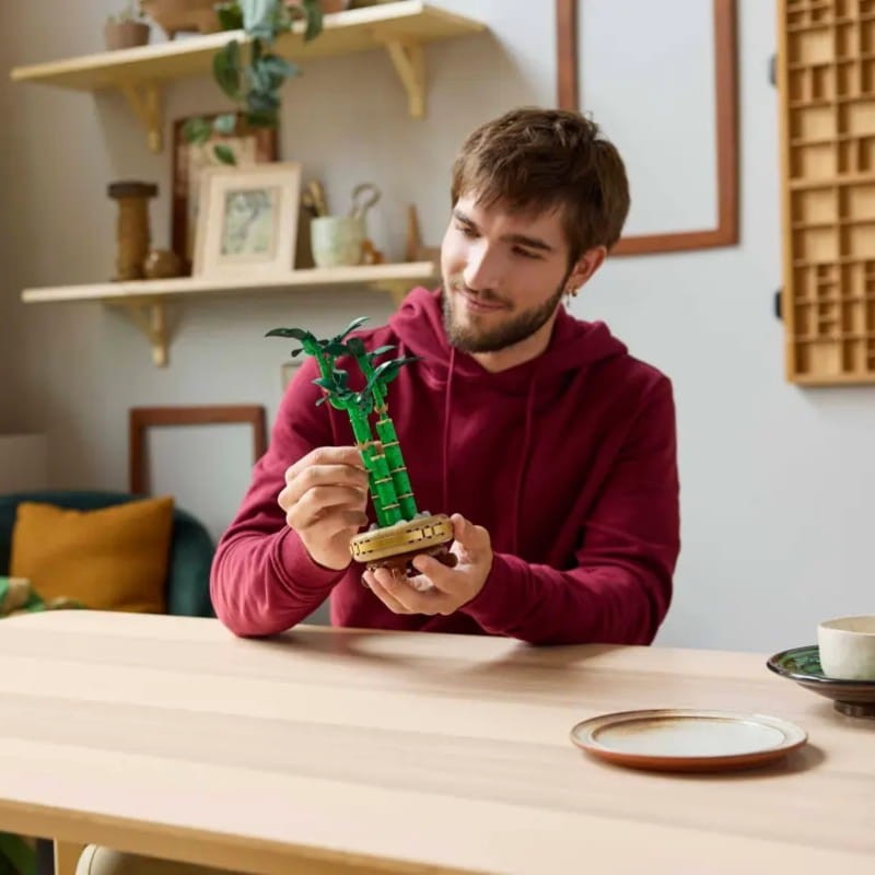 lego-dracena-sandera-klocki-akcesoria.jpg
