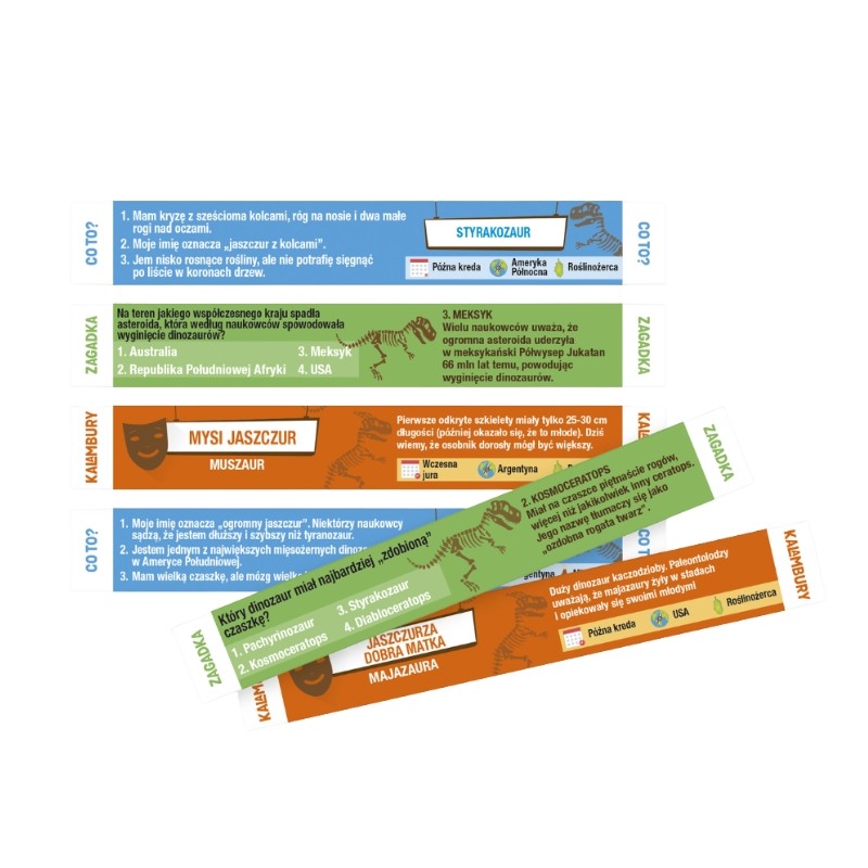 Smart Sticks - Śladami Dinozaurów - grafika(1)4.jpg