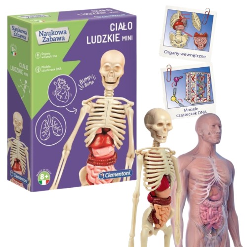 CLEMENTONI JOC ȘTIINȚIFIC CORPUL UMAN MODEL MINI ADN - 50515
