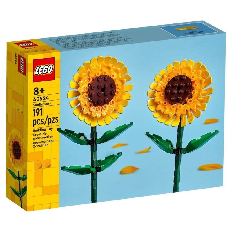 563502.jpg