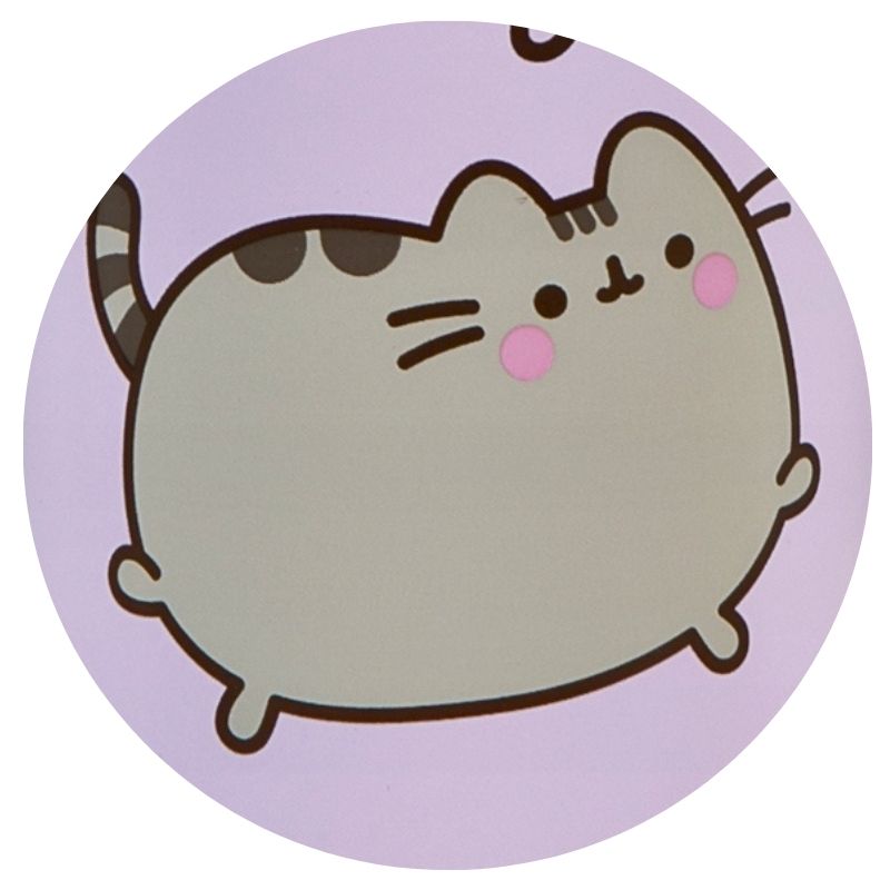 putelka-termiczna-pusheen (2).jpg