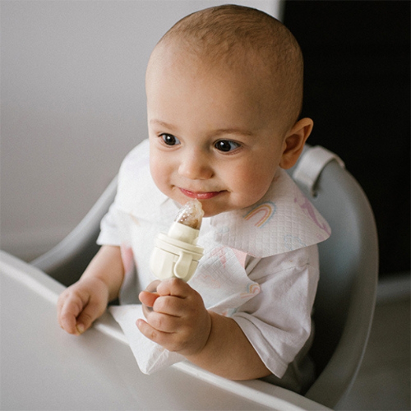 Babyono Jucărie de Mestecat pentru Administrarea Alimentelor Recipient Dino 6m+