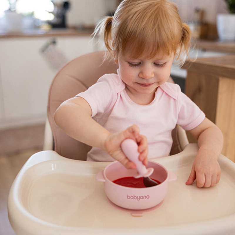 Babyono Silikonowa Miseczka Miska Dla Dzieci Z Przyssawką I Przykrywką