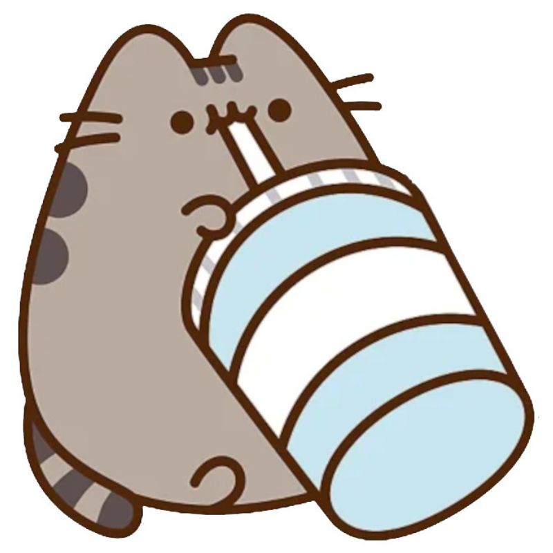  Śniadaniówka Metalowa Pusheen Pojemna Lunchbox Pojemnik Stalowy Z Kotem